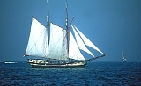 Sail 2003, Gaffelschoner : Schoner